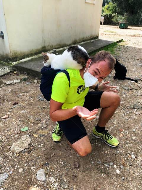 cat on Philipps back