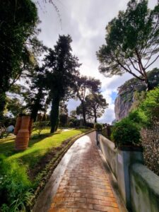 garden pathway