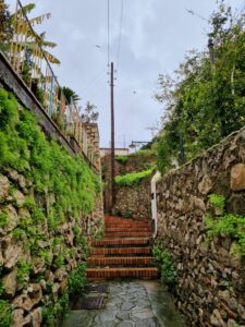 Capri pathway2