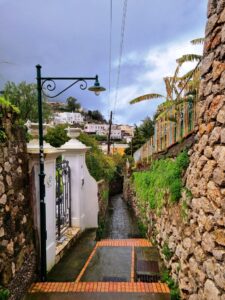 Capri pathway3
