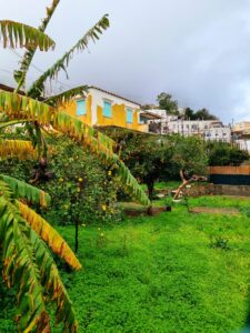 house in back of garden in Capri