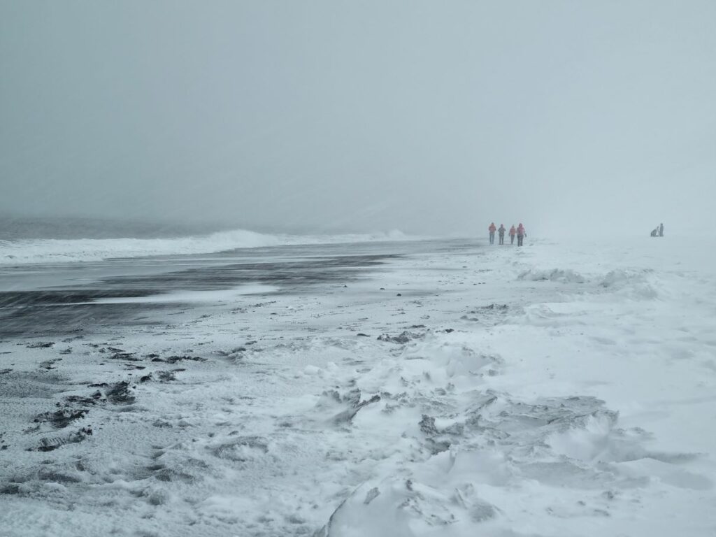 black-sand-beach-Iceland