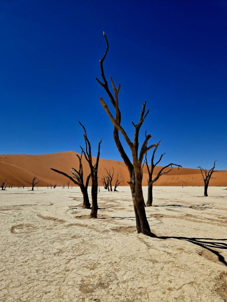 DeadVlei 5