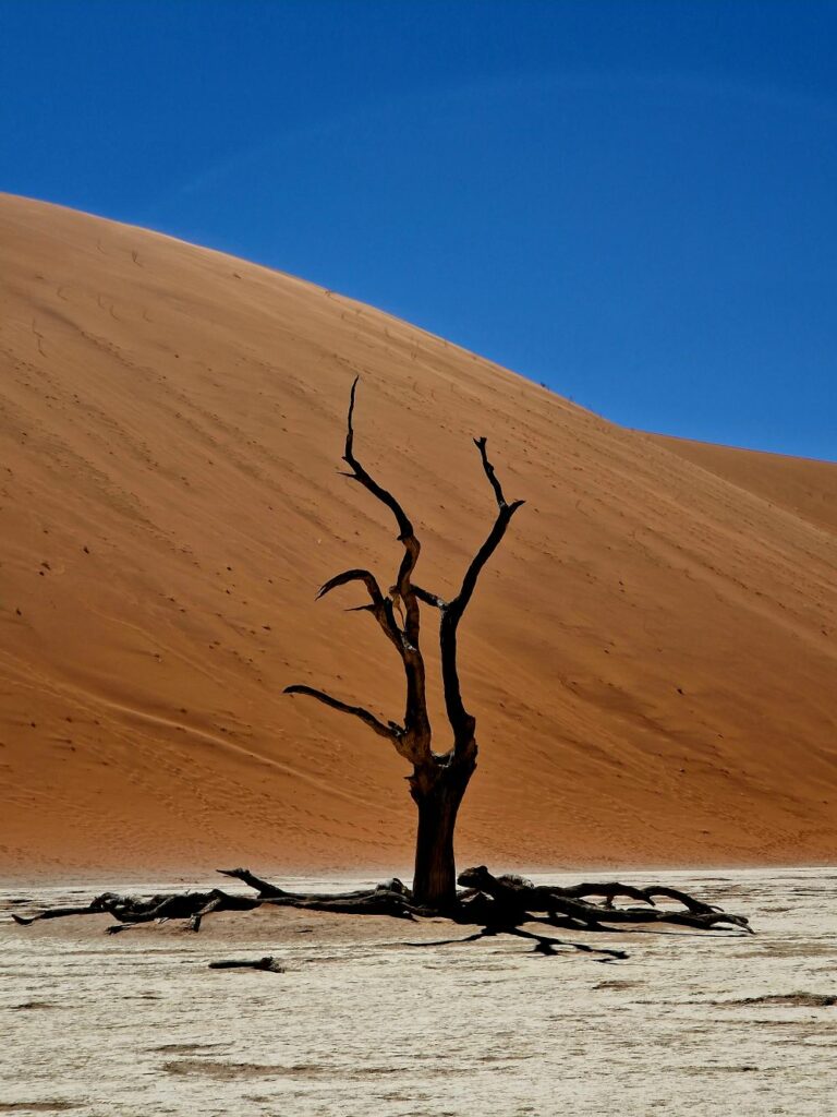 deadvlei 7