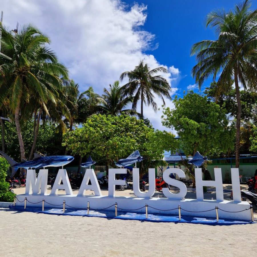 maafusi